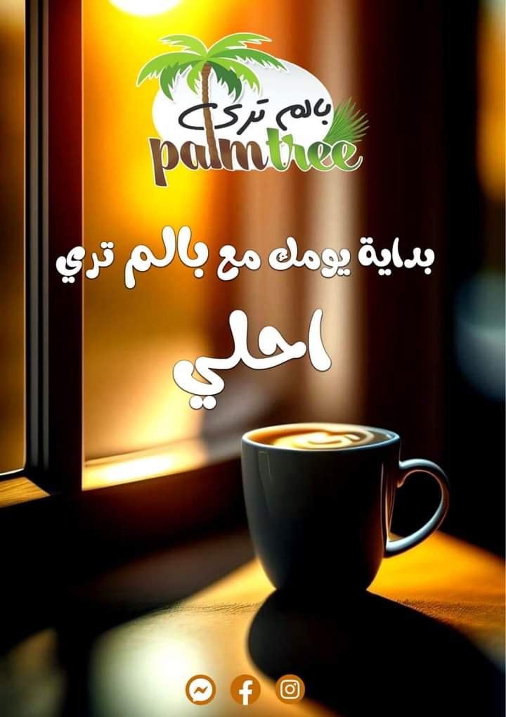 palm tree date seed coffee